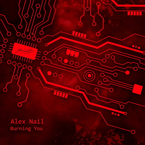 Alex Nail - Burning You [SOVEL234]